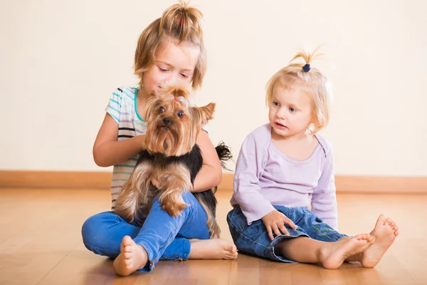 Dzieci bawiące się z yorkshire terrier — Zdjęcie stockowe