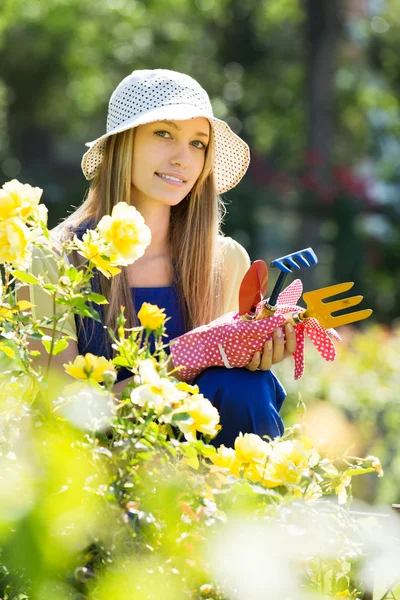 Jardineiro trabalhando em rosas planta — Fotografia de Stock