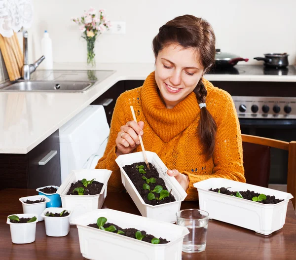 Chica en casa con plántulas verdes — Foto de Stock