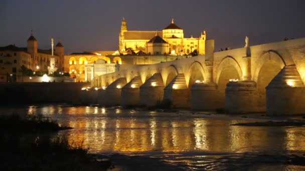 Old bridge and Mosque-cathedral of Cordoba — Stock Video