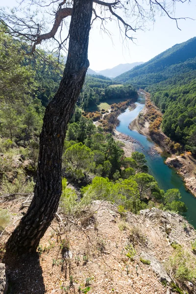 Montañas paisaje con río —  Fotos de Stock