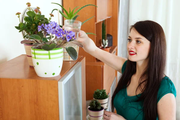 女人在花盆里的花浇水 — 图库照片