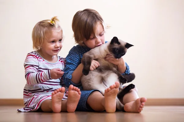 Kedi ile iki kız kardeş — Stok fotoğraf