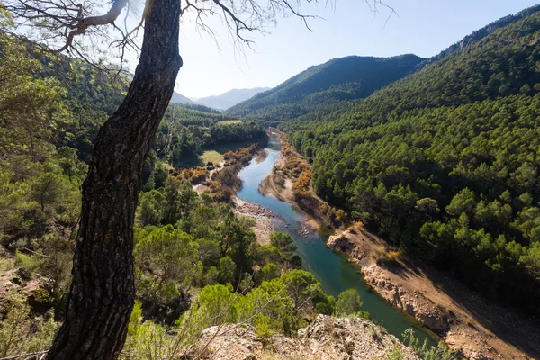 Montañas paisaje con río —  Fotos de Stock