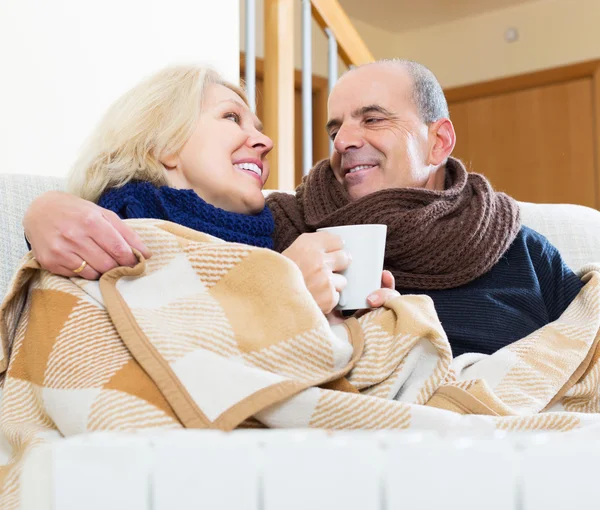 Spouses under blanket drinking tea — Stock Image Spouses under blanket drinking tea Royalty Free Stock Photos