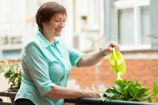 Женщина поливает растения на балконе — стоковое фото