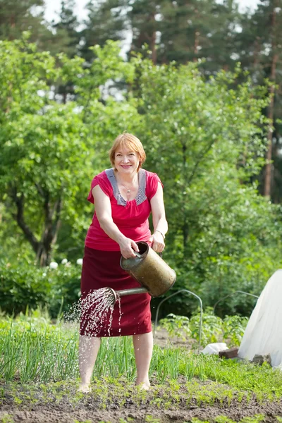 Volwassen vrouw drenken plant — Stockfoto