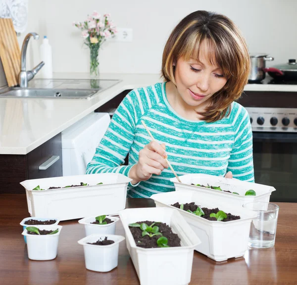 Kvinna i grönt arbetar med plantor — Stockfoto