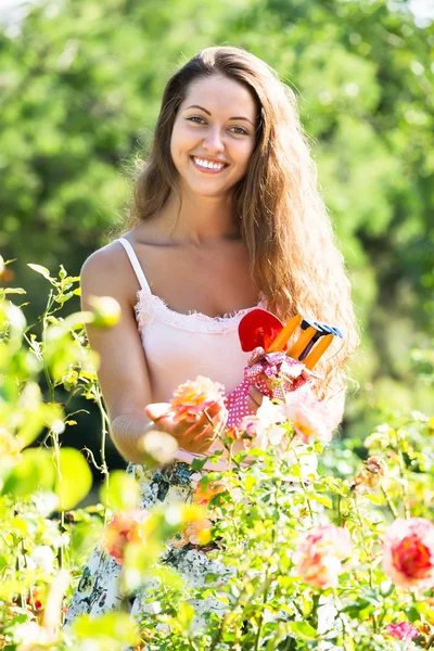 Woman gardening with roses — Stock Photo, Image