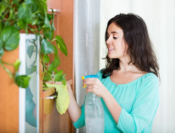 Woman engaged in cleaning — Stock Photo, Image