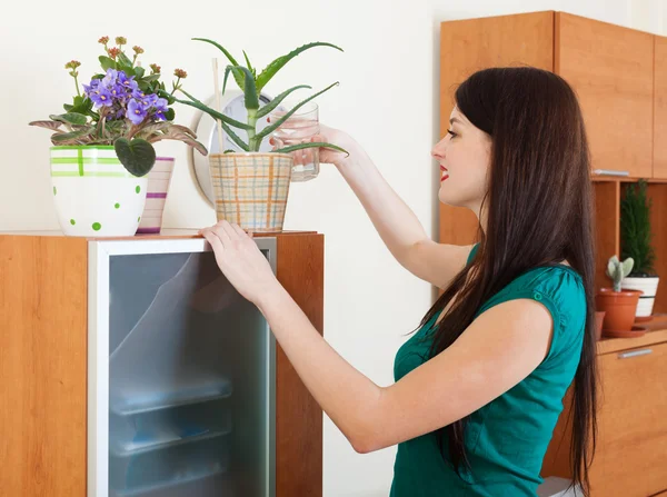 Mulher regando flores em vaso — Fotografia de Stock