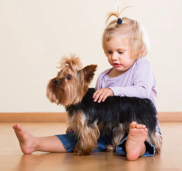 Petite fille mignonne avec Yorkshire Terrier intérieur — Photo