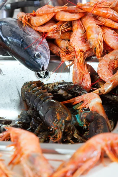 台所の流しに生の魚介類 — ストック写真