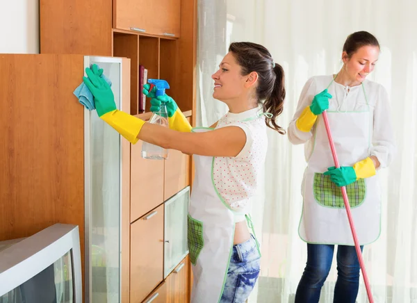 Chicas haciendo tareas domésticas y la limpieza de muebles —  Fotos de Stock