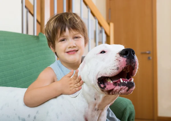 Mooi meisje met hond — Stockfoto