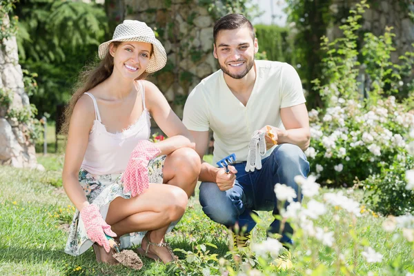 Groddplanta trädgårdsväxter — Stockfoto