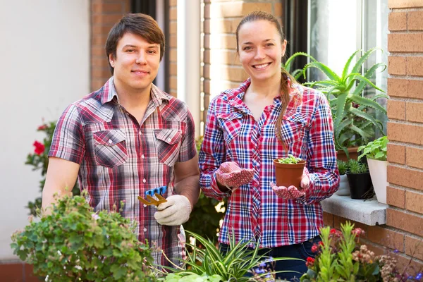 Couple working with flowers — Stock Photo, Image