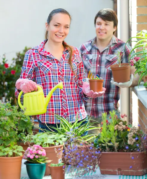 Smiling couple working with flowers — Stock Photo, Image