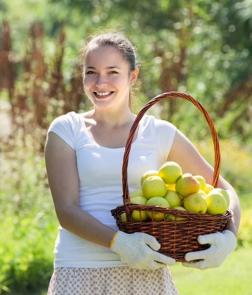 Chica con una cesta de manzanas —  Fotos de Stock