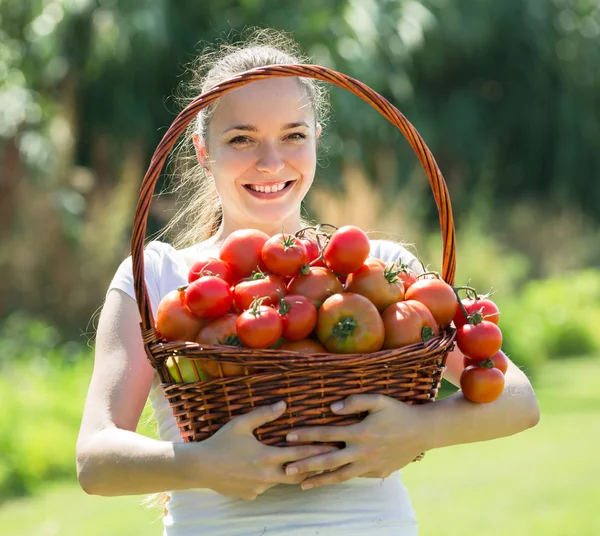 Woman with tomatoes harvest in garde — Stock fotografie