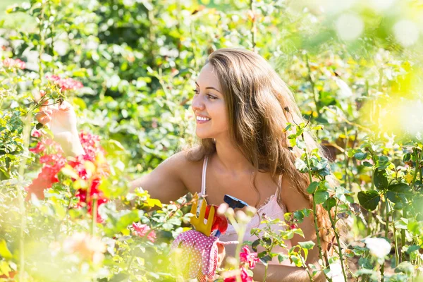 Frau arbeitet in Rosenpflanzen — Stockfoto