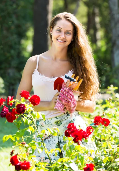 Mulher trabalhando em rosas plantas — Fotografia de Stock