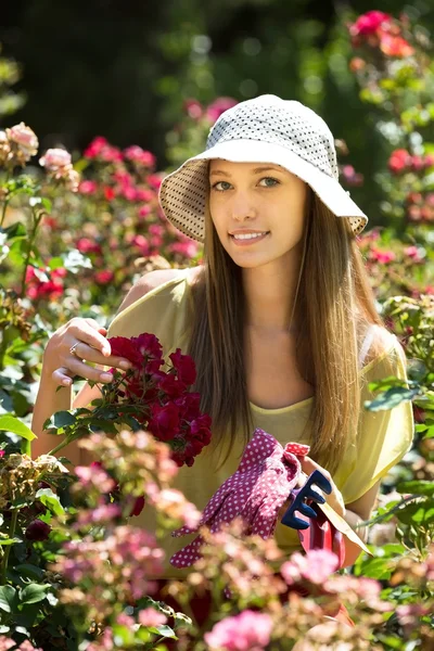 Mulher perto de um arbusto com rosas — Fotografia de Stock