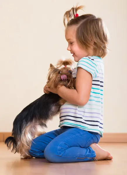 Niña con yorkshire terrier — Foto de Stock