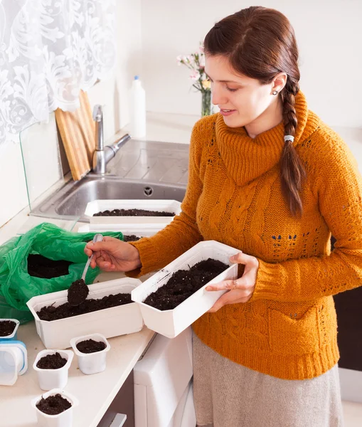 Vrouw grond voor zaailingen maken — Stockfoto