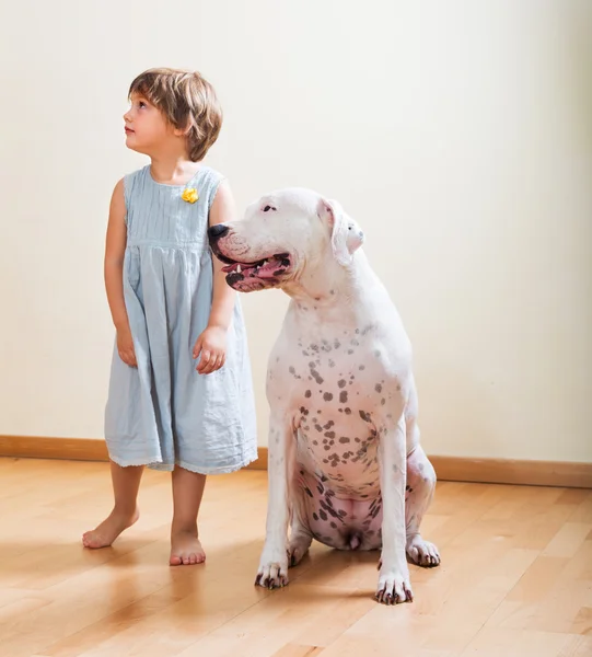 Little girl with big white dog — Stock Photo, Image