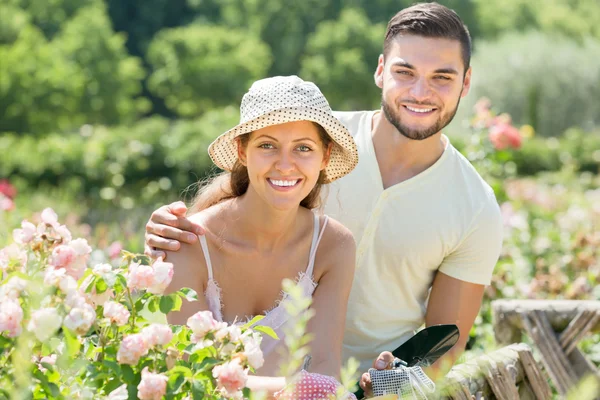 Par trädgårdsmästare plantering växter — Stockfoto