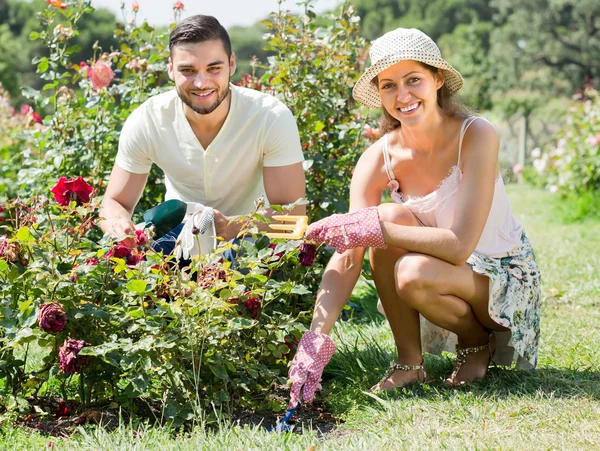 Jeune couple jardinage ensemble — Photo