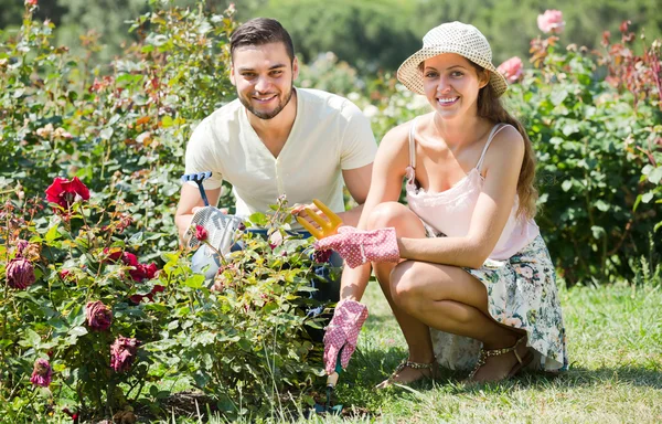 Jovem casal jardinagem juntos — Fotografia de Stock
