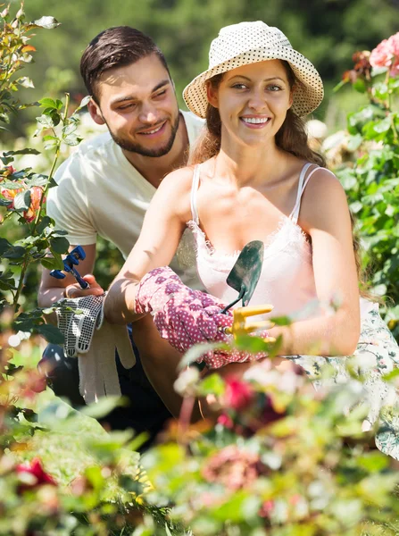 Young family gardening — Stock Photo, Image