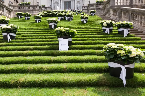 Festival des décorations florales à Gérone — Photo