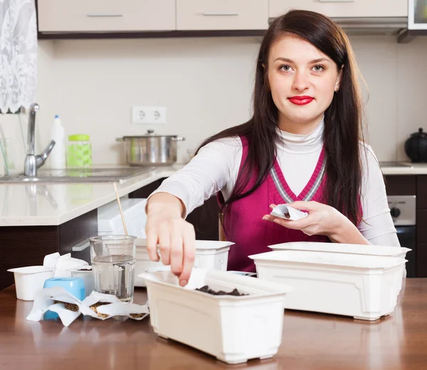 Mulher semeando mudas em vasos — Fotografia de Stock