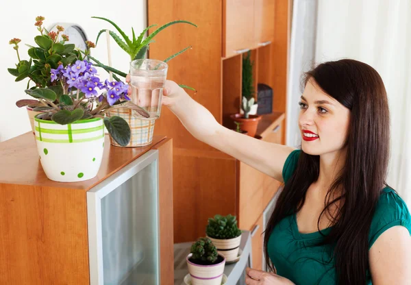 Femme arrosant des fleurs en pots — Photo