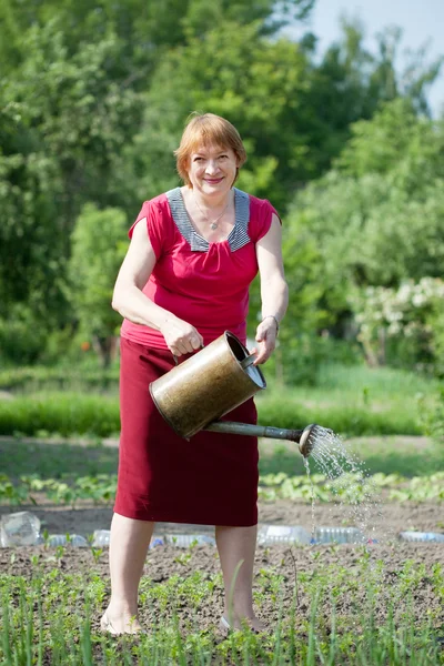 Mogen kvinna vattning växten — Stockfoto