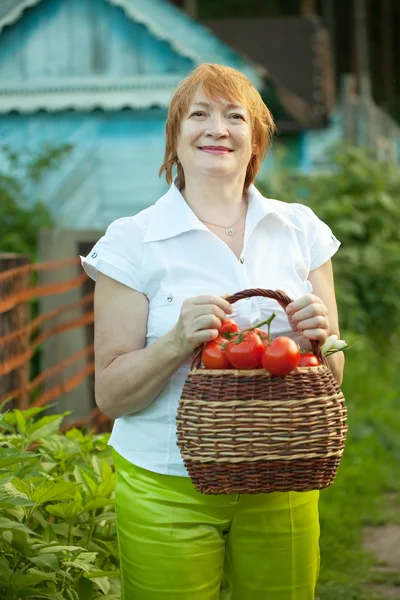 Mulher com cesta de legumes colhidos — Fotografia de Stock