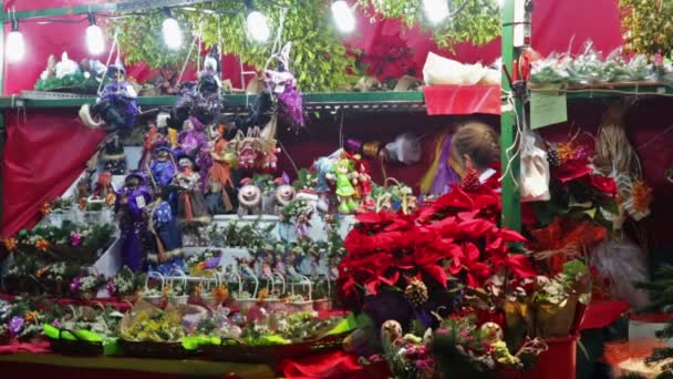 Gente en la Feria de Navidad — Vídeos de Stock