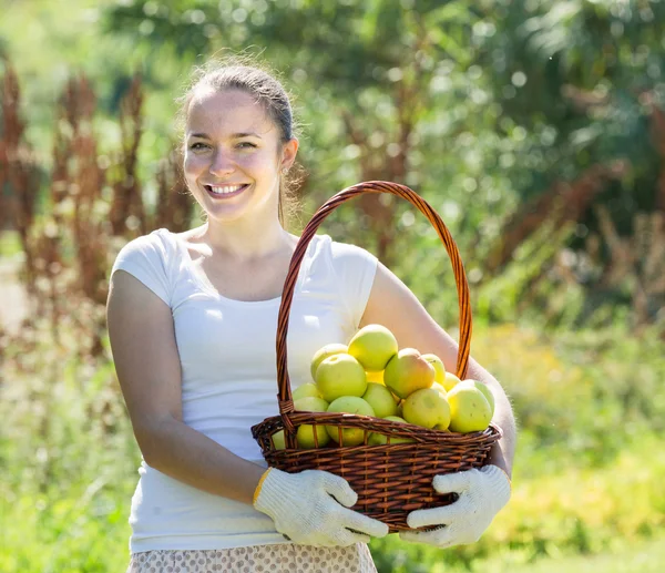 Flicka med äpplen skörd i trädgården — Stockfoto