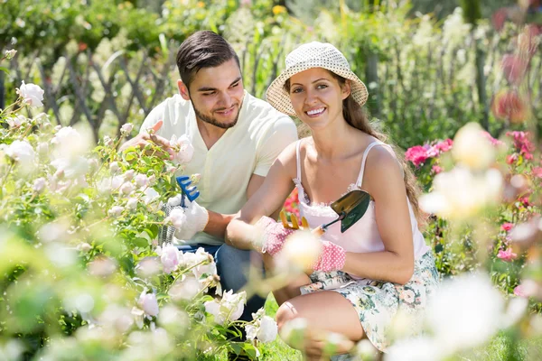 Familie verbringt Sommerurlaub auf dem Land — Stockfoto