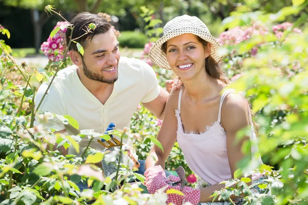 Young couple gardening together — Stock Photo, Image