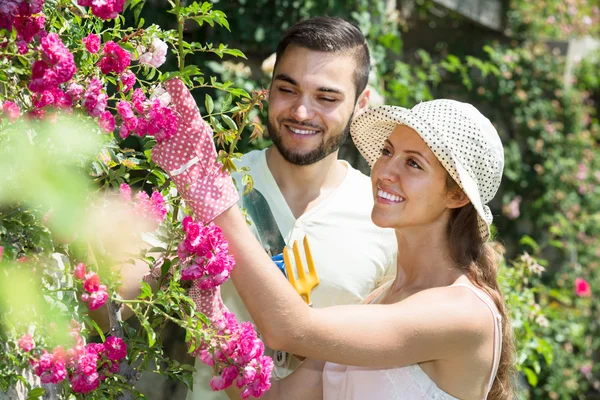 La famiglia trascorre le vacanze estive in campagna — Foto Stock