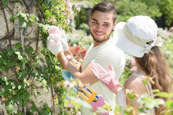 Genç çift birlikte bahçe işleriyle uğraşıyor. — Stok fotoğraf