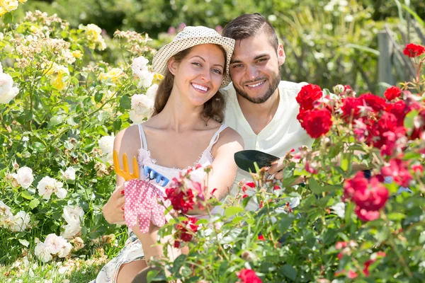 Mladý pár zahradničení spolu — Stock fotografie