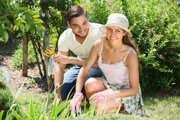 Young couple gardening together Royalty Free Stock Images