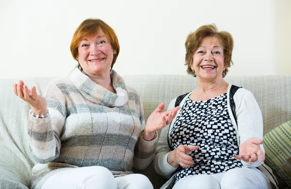 Θηλυκό συνταξιούχοι συζητώντας κάτι Εικόνα Αρχείου