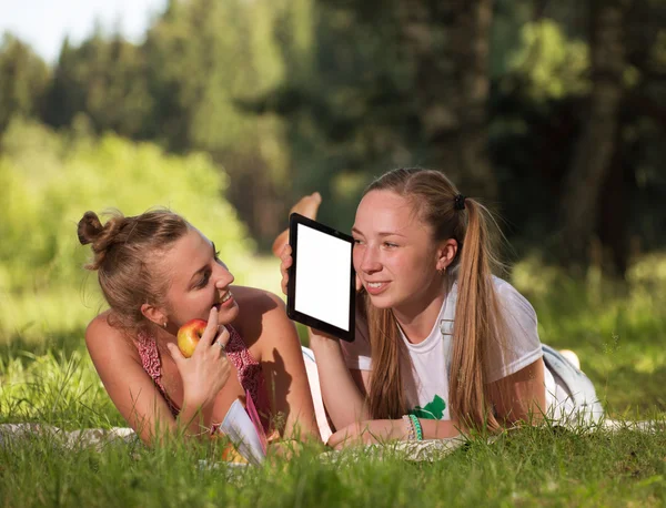 Sommaren otah i naturen — Stockfoto