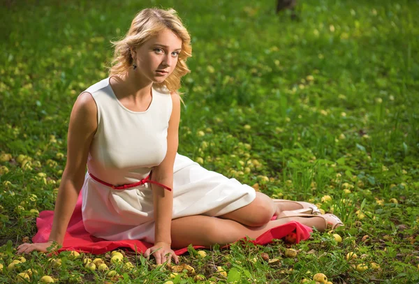 In un giardino autunnale — Foto Stock